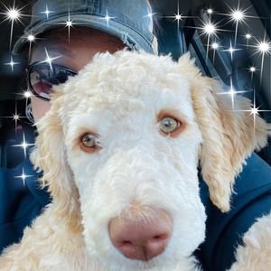 Meet your Posher, Beth